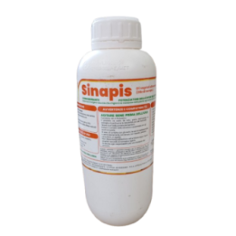 SINAPIS