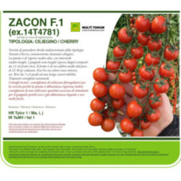 SEMI DI POMODORO CILIEGINO "ZACON"