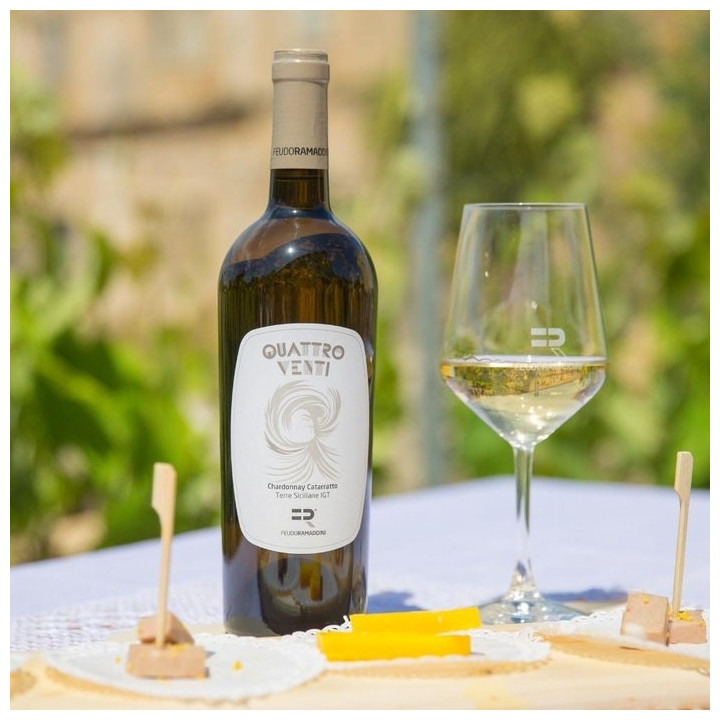 Quattroventi IGT Chardonnay Catarratto BIOLOGICO