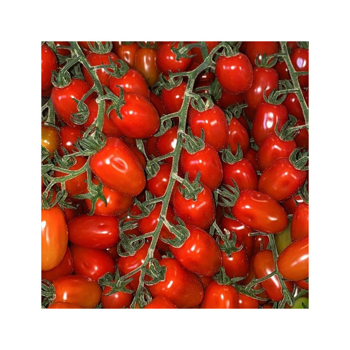 Pomodoro Datterino Rosso- Verdurazon.it