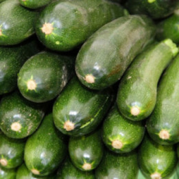 ZUCCHINE