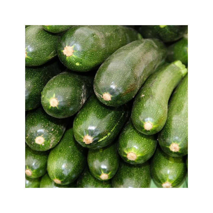 ZUCCHINE