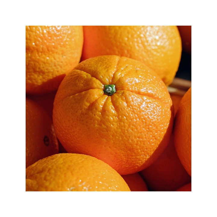 Arance Navel Tardive BIO - Verdurazon.it