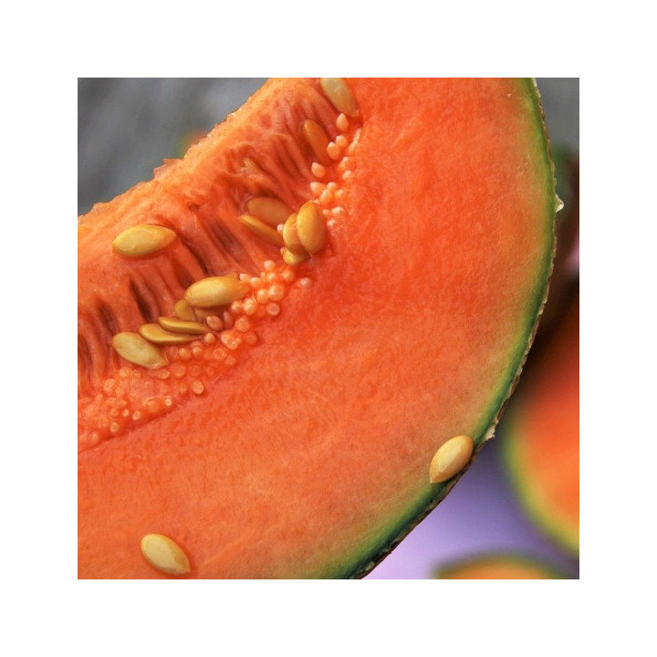 MELONE "CANTALUPO"