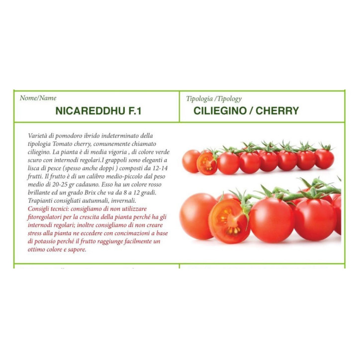 SEMI DI POMODORO CILIEGINO