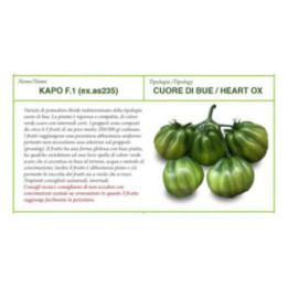 SEMI DI POMODORO CUORE DI BUE / HEART OX