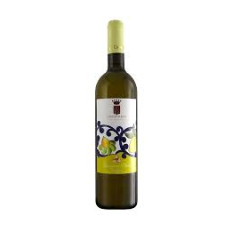 Sauvignon Blanc Casa Scalecci