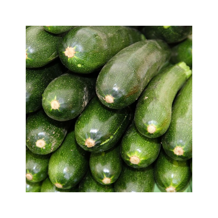 Zucchine - Az. Agricola Morana Mario