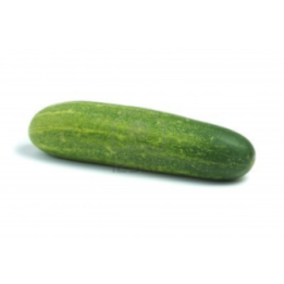 Cetrioli- Az. Agricola Morana Mario