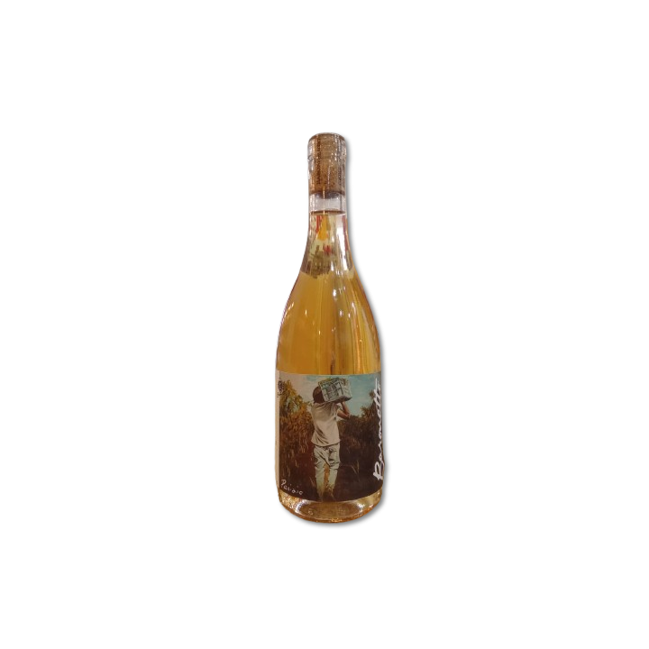 Baronetto Grillo Barone Sergio